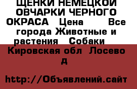 ЩЕНКИ НЕМЕЦКОЙ ОВЧАРКИ ЧЕРНОГО ОКРАСА › Цена ­ 1 - Все города Животные и растения » Собаки   . Кировская обл.,Лосево д.